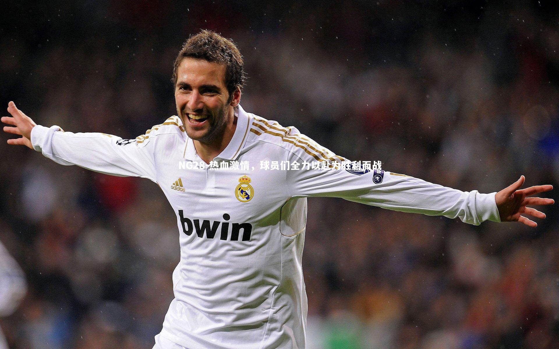 NG28-热血激情，球员们全力以赴为胜利而战