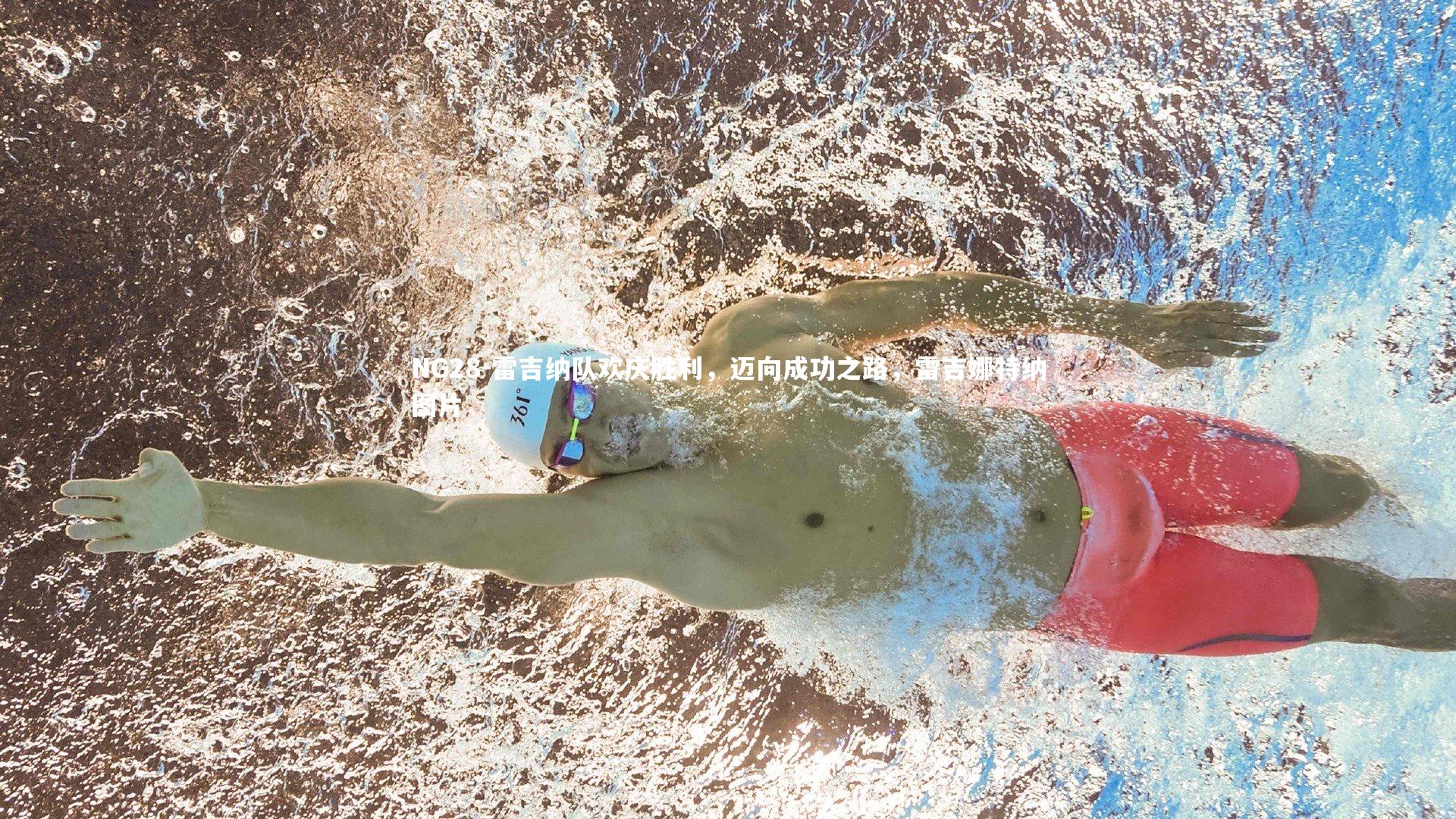 NG28-雷吉纳队欢庆胜利，迈向成功之路，雷吉娜特纳图片