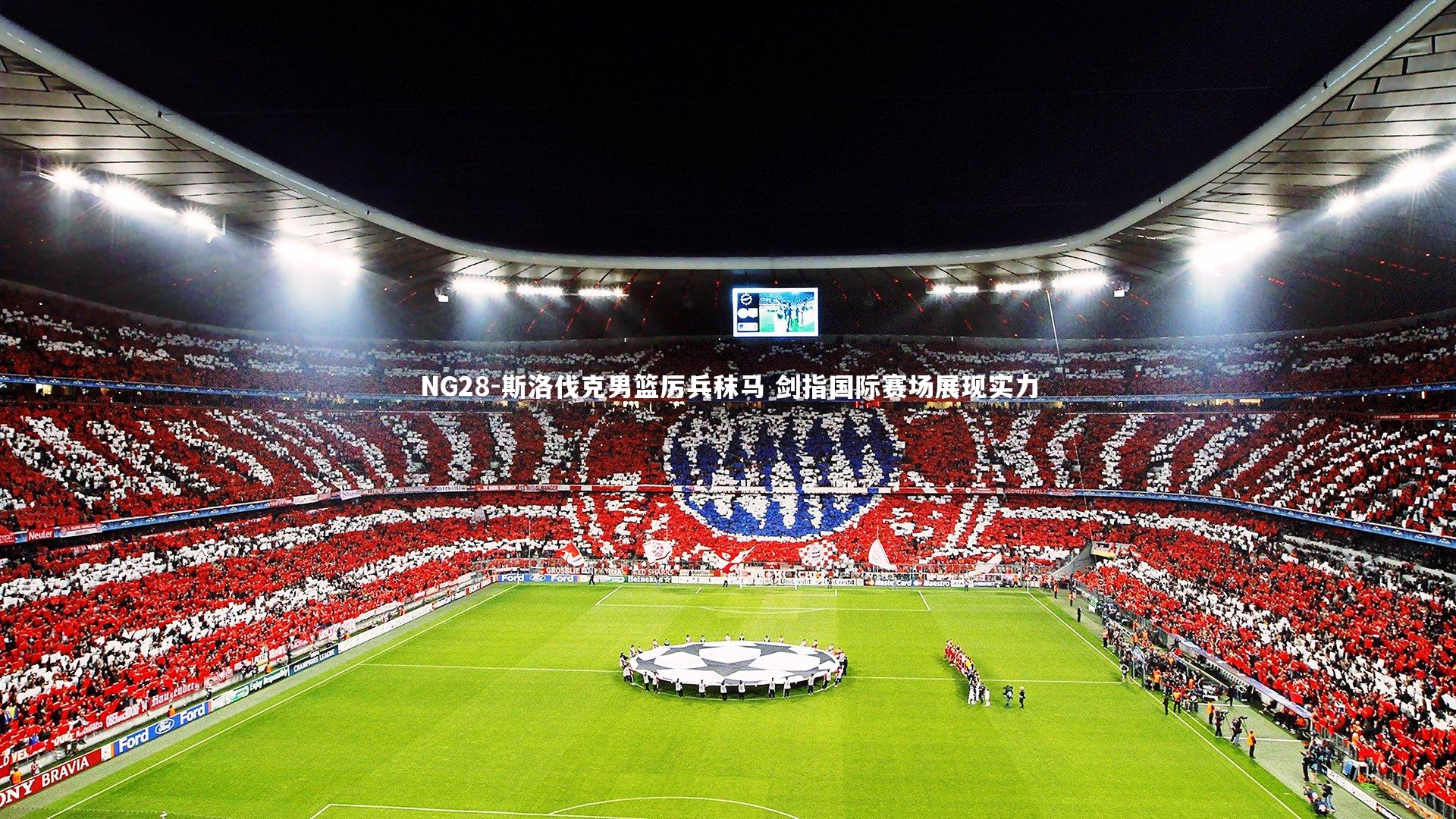NG28-斯洛伐克男篮厉兵秣马 剑指国际赛场展现实力