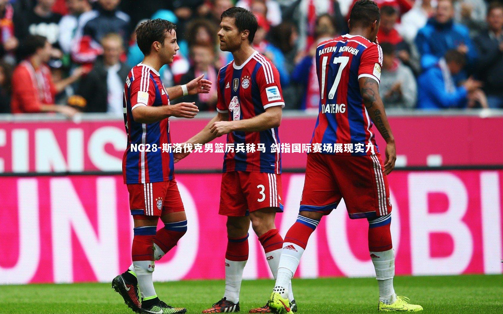 斯洛伐克男篮厉兵秣马 剑指国际赛场展现实力