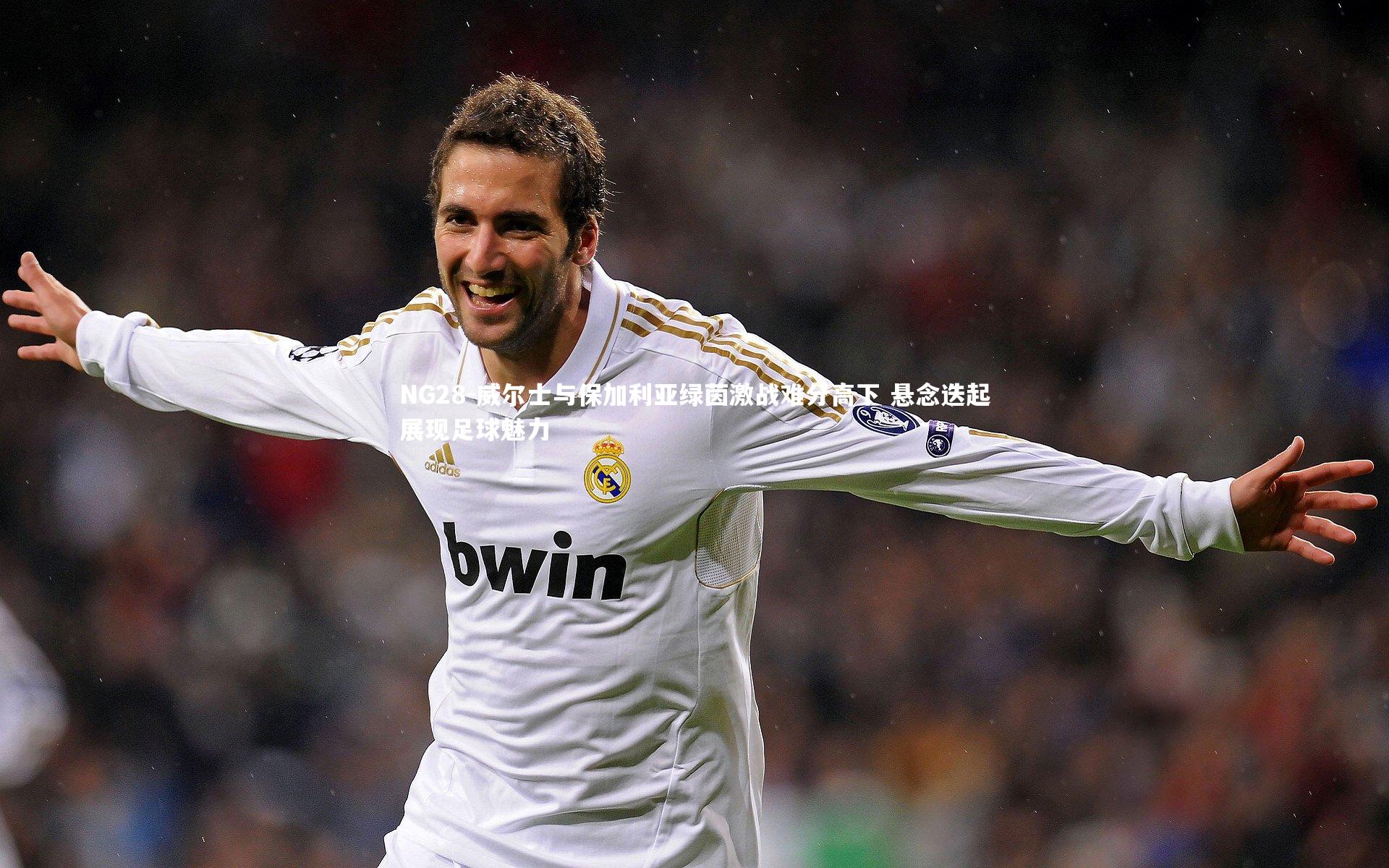 NG28-威尔士与保加利亚绿茵激战难分高下 悬念迭起展现足球魅力